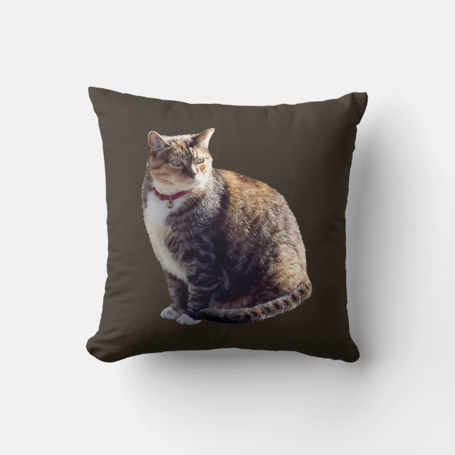 Tortoiseshel Cat Kussen (Voorkant)