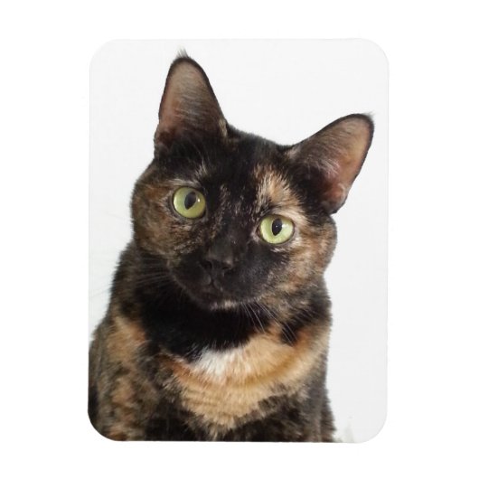 Tortoiseshel Cat Magneet (Verticaal)