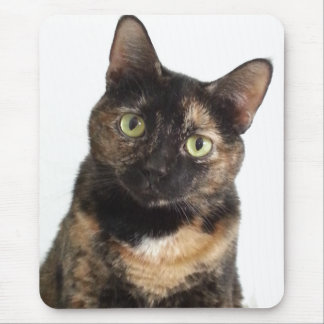 Tortoiseshel Cat Muismat