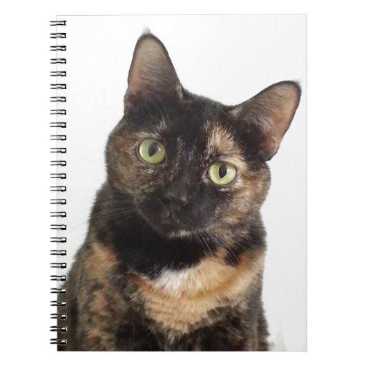Tortoiseshel Cat Notitieboek (Voorkant)