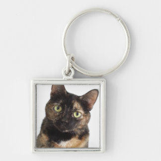 Tortoiseshel Cat Sleutelhanger