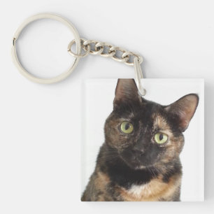 Tortoiseshel Cat Sleutelhanger