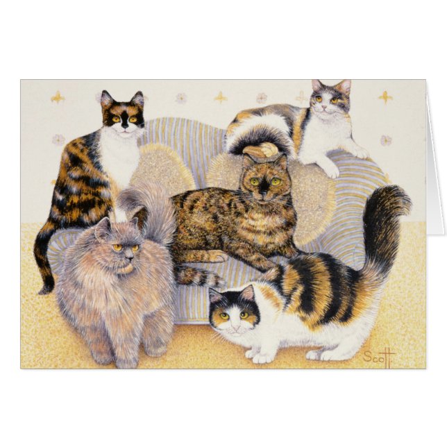 Tortoiseshel dames (Voorkant Horizontaal)