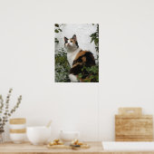 Tortoiseshel en witte kat poster (Keuken)