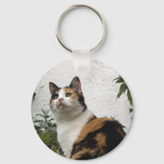 Tortoiseshel en witte kat sleutelhanger
