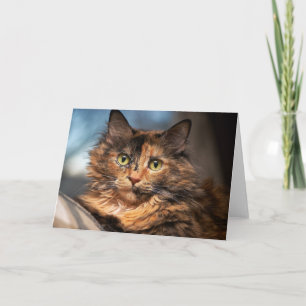 Tortoiseshel Fluffy Cat Kaart