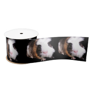 Tortoiseshel Guinee Pigs, Satin Ribbon Lint
