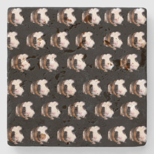 Tortoiseshel Guinee Pigs, Stone Onderzetter