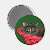 Tortoiseshel Kerstmis Magneet (Voorkant / Achterkant)