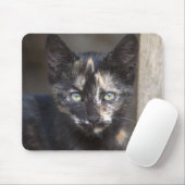 Tortoiseshel Kitten Muismat (Met muis)