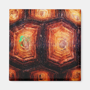 Tortoiseshel Magneet