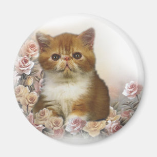 Tortoiseshel Persian Magneet