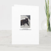 Tortoiseshell Cat Fries Diner Invitation Cartes (Dos)