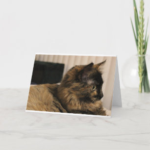 Tortoiseshell cat wenskaart- blanco binnen kaart