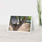 Tortoiseshell Kat in Boom Kaart (Voorkant)