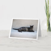 Tortoiseshell Kat Portret Kaart (Voorkant)