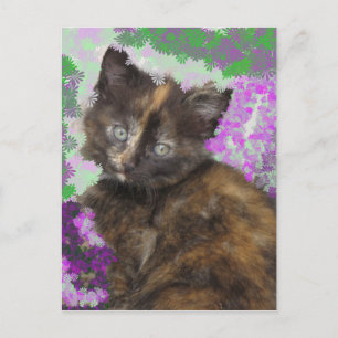 Tortoisshell Kitten in Gree en Purple Flowers Briefkaart