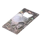 Tortue (Devant Angle)