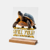 Tortue 001 Coquille Ouais! (Angle)