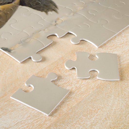 Tortue / Amphibien / Reptile Closeup Photo Puzzle (Côté)