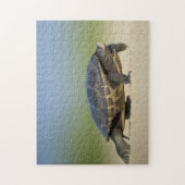 Tortue / Amphibien / Reptile Closeup Photo Puzzle (Vertical)