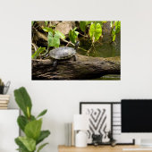 Tortue assise sur une affiche (Bureau à domicile)
