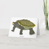 Tortue (blanche) - Carte de vœux (Devant)