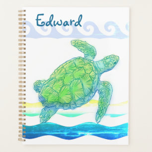 Tortue bleue et verte