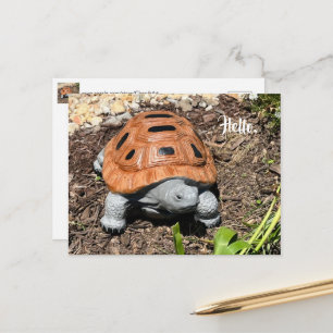 Tortue boîte, Bonjour ou votre texte, Cartes posta