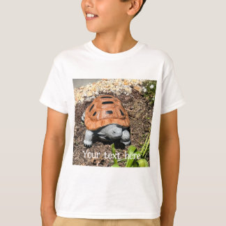 Tortue boîte peinte, dans le jardin, t-shirts pers