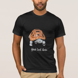 Tortue boîte peinte, Tshirts personnalisés