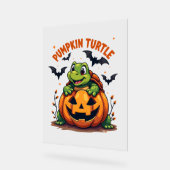 Tortue citrouille (Angle)