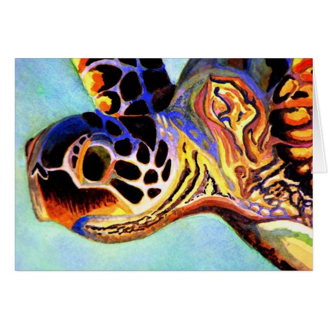 Tortue colorée (Devant horizontal)