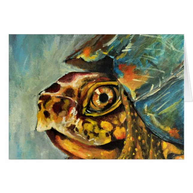 tortue de boîte (Devant horizontal)