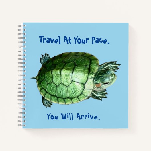 Tortue de cahier (Devant)
