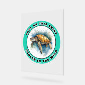 Tortue de mer (Angle)