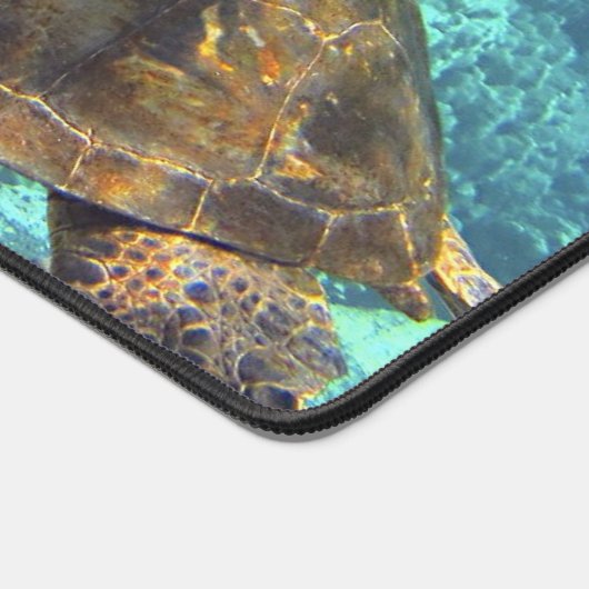 tortue de mer (Coin)