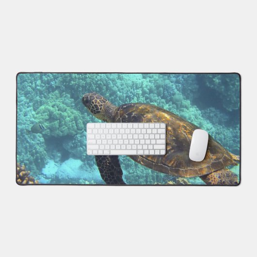 tortue de mer (Clavier et souris)