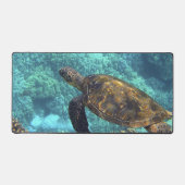 tortue de mer (Recto)