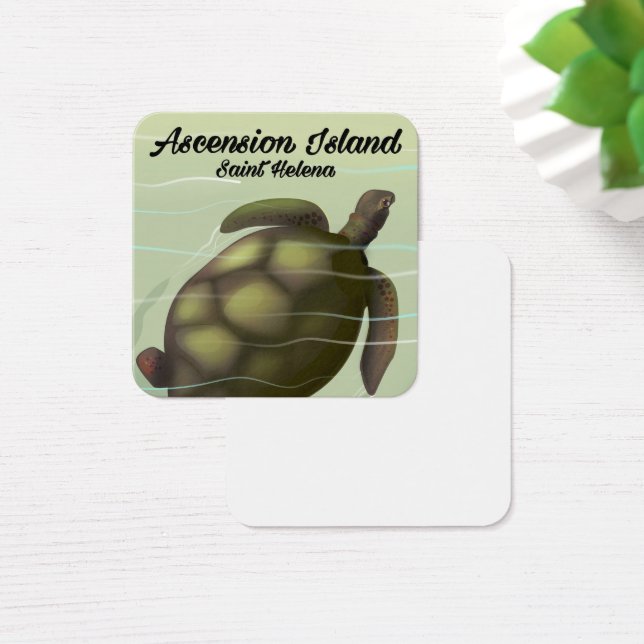 Tortue de mer de l'île de l'Ascension (Bureau)