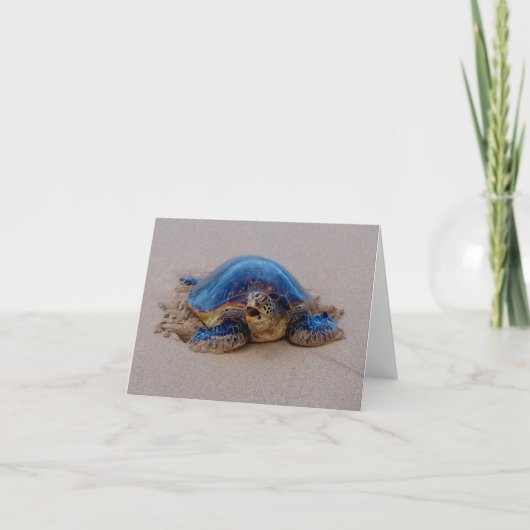 Tortue de mer de Yawning (Devant)