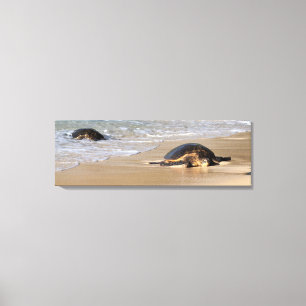 Tortue de mer hawaïenne sur la copie de toile de