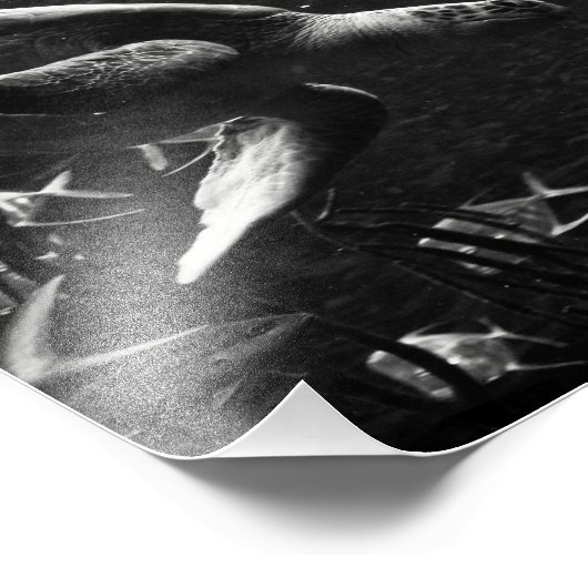 Tortue de mer - Impression photo (Coin)