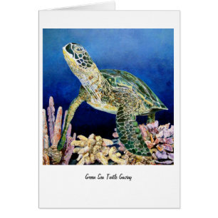 Tortue de mer verte regardant fixement