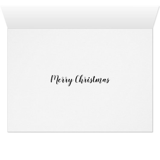 Tortue de Noël (Intérieur Horizontal (Bas))