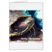 Tortue de Noël (Devant)