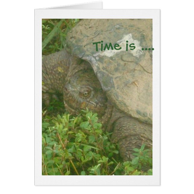 Tortue de temps (Devant)