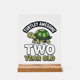 Tortue Deux Ans Anniversaire Gravure Vintage Shi