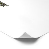 Tortue diamantée (blanche) - Affiche imprimée (Coin)