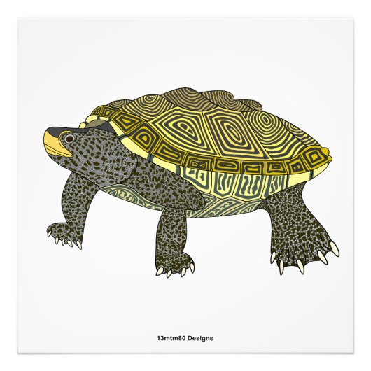 Tortue diamantée (blanche) - Impression photo (Devant)